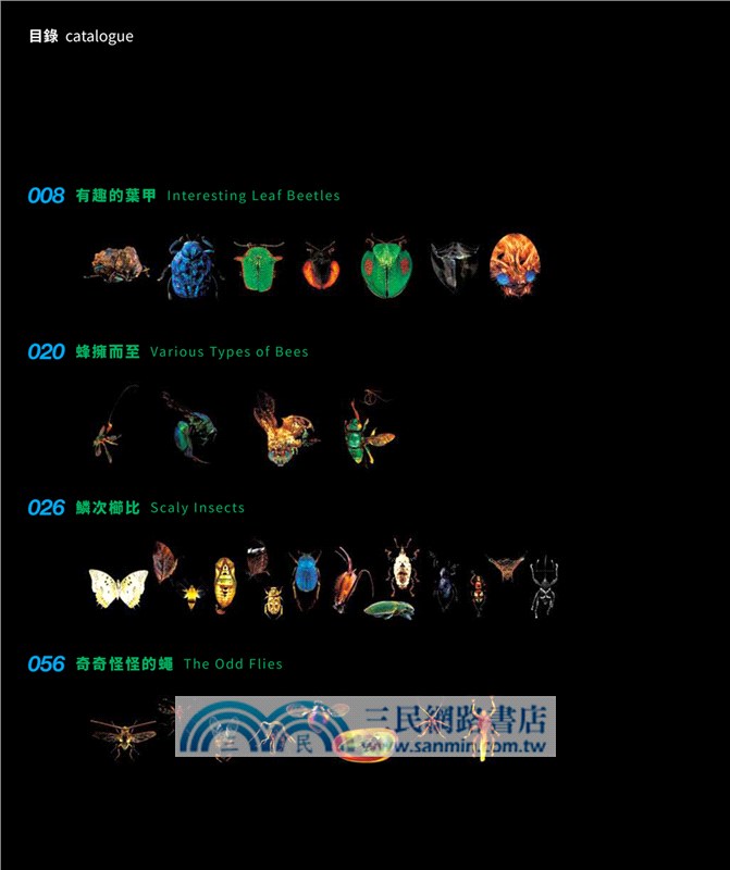 超微昆蟲圖鑒