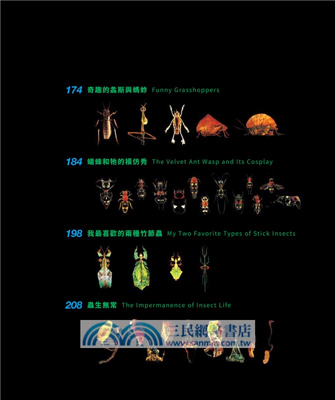 超微昆蟲圖鑒