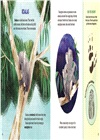 Super Marsupials: Kangaroos, Koalas, Wombats, and More (Stage1)
