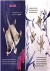 Super Marsupials: Kangaroos, Koalas, Wombats, and More (Stage1)