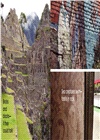 Cityscape ― Where Science and Art Meet
