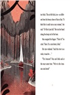 Wind Riders #2: Search for the Scarlet Macaws