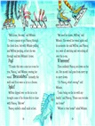 Winnie and Wilbur The Santa Surprise (精裝本)