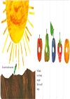 The Very Hungry Caterpillar (硬頁書)