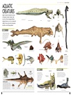 Star Wars: The Visual Encyclopedia