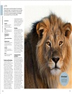 Dk Eyewitness South Africa