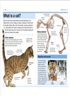 Cats: Facts at Your Fingertips (Pocket Eyewitness)