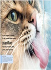 Cats: Facts at Your Fingertips (Pocket Eyewitness)