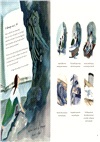 The Fossil Hunter：How Mary Anning unearthed the truth about the dinosaurs (Winner of the Klaus Flugge Prize 2024)