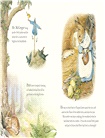 The Tale of Peter Rabbit Picture Book