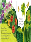 Pop-Up Peekaboo! Garden：Pop-Up Surprise Under Every Flap!