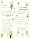How to Grow Magic: The Giant Mystery
