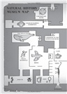 A Box Full of Murders #2: Death at the Museum