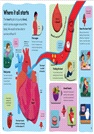 You and Your Body：A First Look Inside the Human Body (The British Book Awards)(英國版)