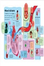 You and Your Body：A First Look Inside the Human Body (The British Book Awards)(英國版)
