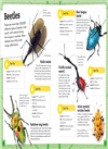 My Book of Bugs：A Fact-Filled Guide to the Insect World
