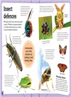 My Book of Bugs：A Fact-Filled Guide to the Insect World