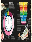 Planet Earth: A 4.5 Billion Year Story
