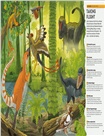 Planet Earth: A 4.5 Billion Year Story