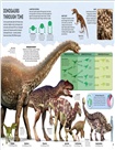 Planet Earth: A 4.5 Billion Year Story