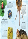 An Anthology of Beetles：A Collection of Brilliant Beetles from Around the World