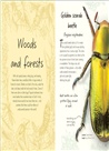 An Anthology of Beetles：A Collection of Brilliant Beetles from Around the World