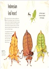 An Anthology of Remarkable Bugs (英國版)