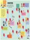 Hip Hip Hooray, Happy Birthday!：A Sticker Activity Book (貼紙書)