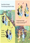 Bluey: Hide and Seek (硬頁書)