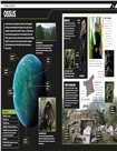 Star Wars The Mandalorian Visual Guide