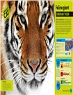 Super Nature：The 100 Biggest, Fastest, Deadliest Creatures on the Planet