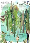 The Big Book of Birds