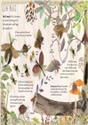 The Big Book of Nature Art