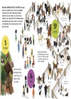 If the World Were 100 Animals: A Visual Guide to Earth's Amazing Creatures