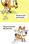 A Pig, a Fox, and Stinky Socks