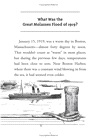 What Was the Great Molasses Flood of 1919?