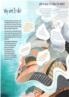 Water: Discovering the Precious Resource All Around Us