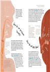 Sound: Discovering the Vibrations We Hear