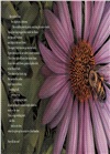 Honeybee: The Busy Life of Apis Mellifera (Robert F. Sibert Medal Winner)