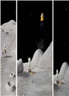 Field Trip to the Moon (平裝本)
