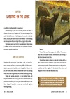 Fire Escape: How Animals and Plants Survive Wildfires