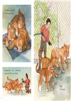 Cubs in the Tub: The True Story of the Bronx Zoo's First Woman Zookeeper (A Bank Street Best Children's Book of the Year)