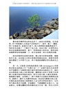 嫁給老美的中國新娘們：佛羅里達退休村的中國新娘們的故事（簡體中文版）