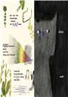 Silence Sounds Simple：A Day in the Life of John Cage