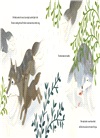 Spur, a Wolf's Story