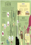 Amazing Evolution: The Journey of Life
