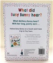 What did Busy Bunny hear? - Tiny Town Touch and Trace (硬頁書)