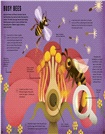 Wild Your World: Bees