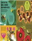 Wild Your World: Bees