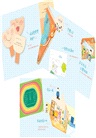 這家姓胡：【親子療癒】最佳兒童禮物音樂遊戲盒
